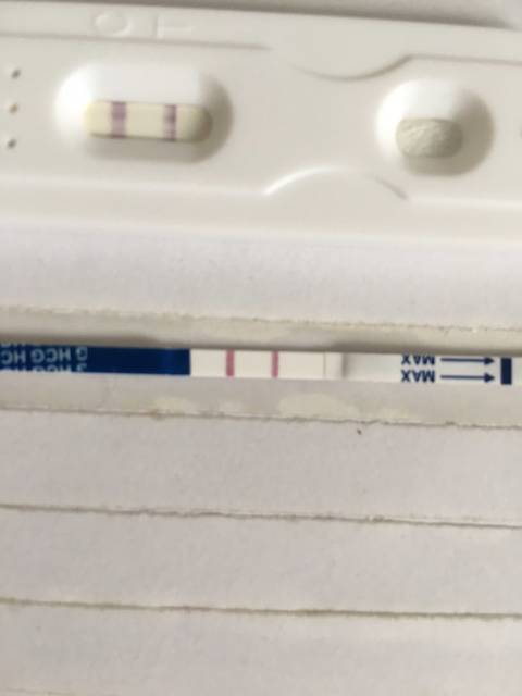 2023年备孕最佳月份
