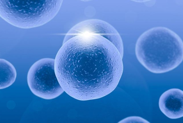 2023新生儿上户口新政策北京