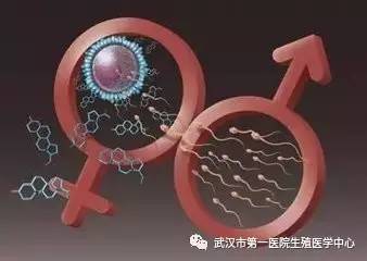 宝宝发育