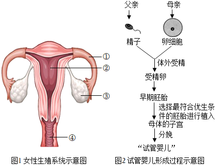 2023新生宝宝取名小名