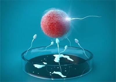 1个月宝宝头围正常值