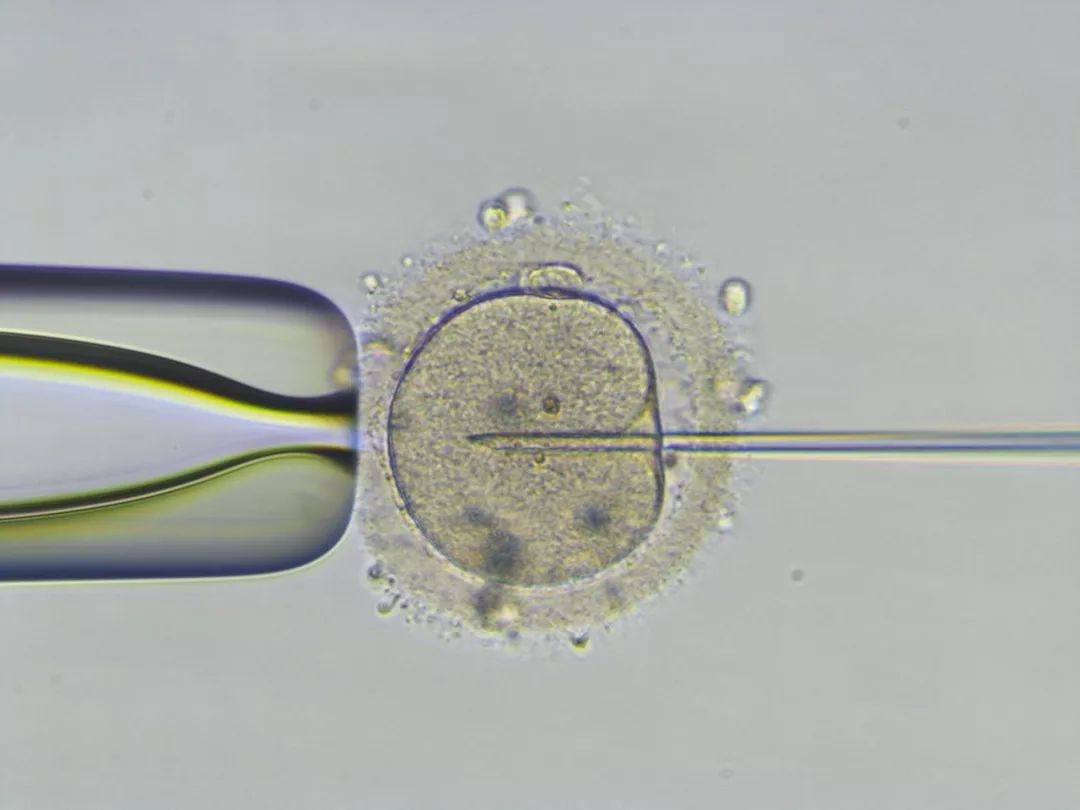 2023新生宝宝取名