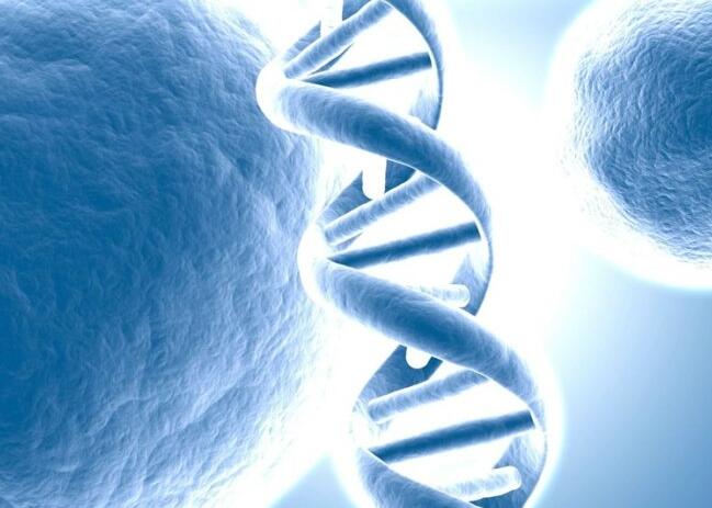 公立医院试管捐卵费用