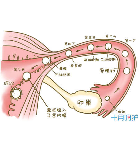 兰州做人流医院排行榜