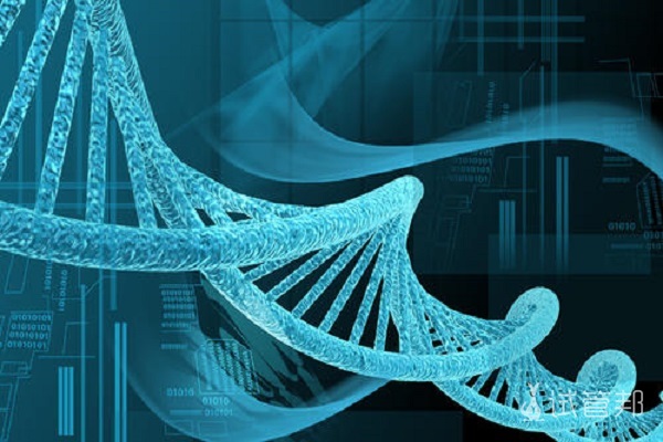 六安捐卵机构公司