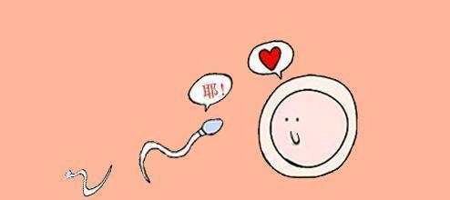 六盘水捐卵招聘多少钱