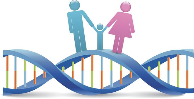 六盘水捐卵费用